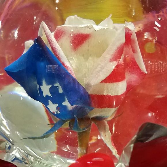 Meet your Posher, Katherine - Picture 1 of 1